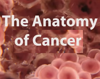 What is Cancer - What Causes Cancer & How Is It Treated?